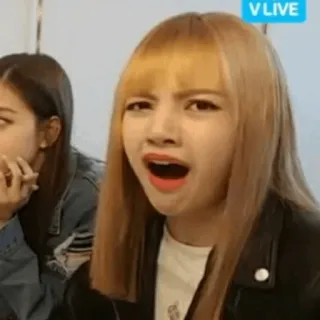 🍕 db00764a telegram sticker