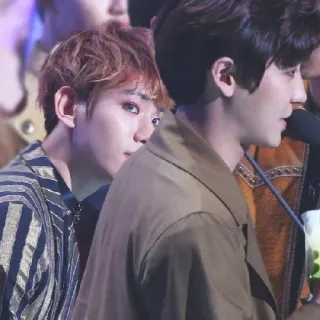 💕 d877534c telegram sticker