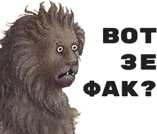 😨 a4571984 ВОТ ЭТО ФАК? лев, в шоке, удивлен, животное, мем, смешно telegram sticker