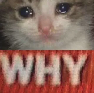 😢 857790d7 WHY kucing, menangis, meme, pertanyaan, sedih telegram sticker