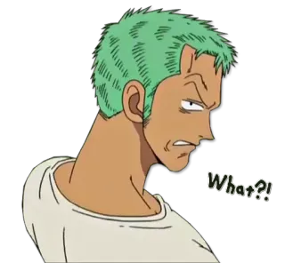 😑 18713c9b Zoro One Piece What?! 动漫, 漫画, 海贼王, 索隆, 罗罗诺亚·索隆, 贴纸, 角色 telegram sticker
