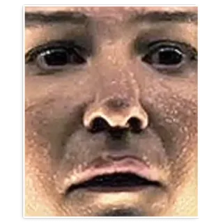 😨 1d392a15 telegram sticker