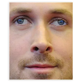 👓 2d900977 脸, 男人, 肖像, 特写, 眼睛 telegram sticker