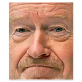 👴 404fada8 肖像, 脸, 男人, 人 telegram sticker