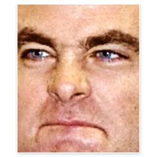 Hollywood telegram stickers