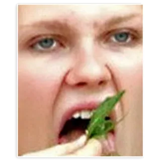 🌱 a0a50622 telegram sticker