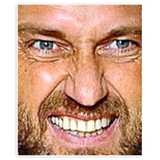 😾 c384b9a1 telegram sticker