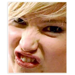 🐽 ccb13c43 telegram sticker