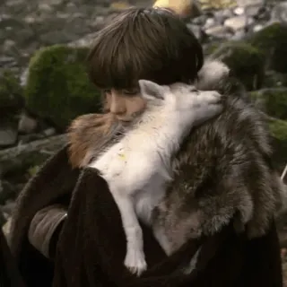 😐 d298ea89 Bran Stark Game of Thrones Bran Stark, Loup-garou, Game of Thrones, L'hiver vient, Fantaisie, HBO telegram sticker