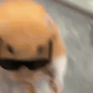 🐹 078ee5eb hamster, zonnebril, cool, dier, huisdier telegram sticker