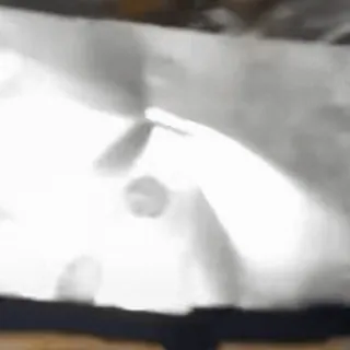 🐹 c976d7fc telegram sticker