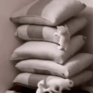 ♟ e1f71a31 gatinho, gatos, almofadas, pilha, animais, fofo telegram sticker