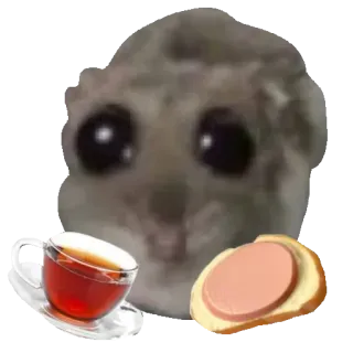 🥪 06712034 criceto, tè, sandwich, carino, animale telegram sticker