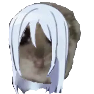 👩‍🦳 1131c297 telegram sticker