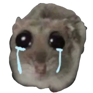 😭 182dd602 criceto, piangendo, triste, lacrime, meme, emotivo, animale domestico, animale telegram sticker