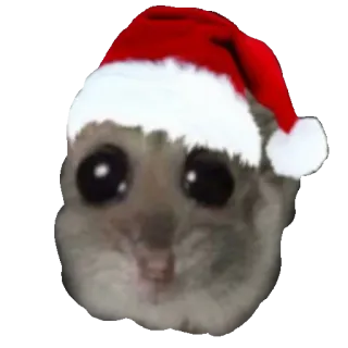 🎁 2d54e121 criceto, cappello da Babbo Natale, Natale, carino, animale, festivo telegram sticker