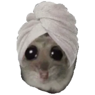 🧖‍♀ 3285a114 criceto, asciugamano, animale, carino, spa, bagno, roditore telegram sticker