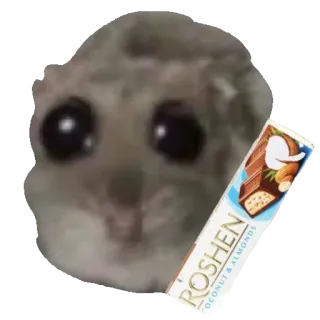 🍫 3adda415 ROSHEN
COCONUT & ALMONDS criceto, cioccolato, roshen, cocco, mandorle, carino, animale, cibo telegram sticker