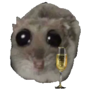 🥂 6235eb64 criceto, animale, carino, meme, bere, champagne telegram sticker