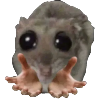 🤲 6b6c29a3 animale, topo, carino, implorante, mani, meme telegram sticker