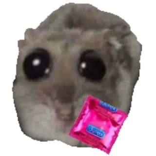Грустный хомяк • @TgSticker telegram stickers