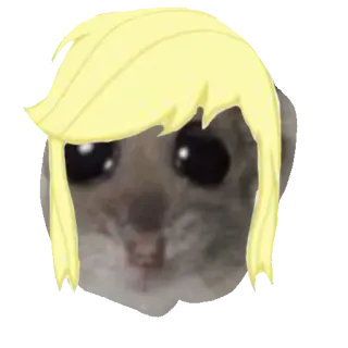 🍏 77c0f87e gatto, meme, parrucca bionda, divertente, triste, animale telegram sticker