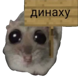 🖕 7dd3bf6b динаху Criceto, Testo, Meme, Russo, Offensivo, Slang telegram sticker