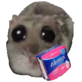 😓 8604652a Always criceto, igiene intima femminile, assorbenti, mestruazioni, carino, kawaii telegram sticker