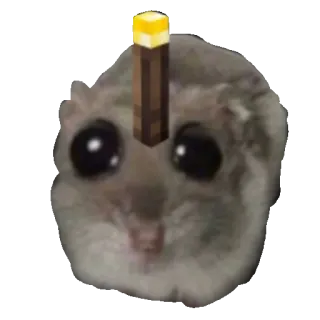 🔦 af40a484 criceto, minecraft, torcia, meme, animale, divertente telegram sticker