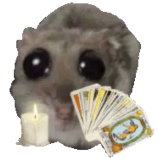 🔮 b33fcffc criceto, tarocchi, candela, carino, cartomanzia telegram sticker