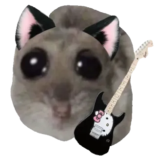 🎸 c3bbe71f gatto, chitarra, gattino, hello kitty, orecchie, carino, animale telegram sticker