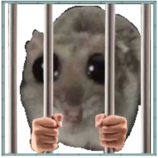 🏳 c710a26c animale, criceto, prigione, carcere, triste, carino telegram sticker