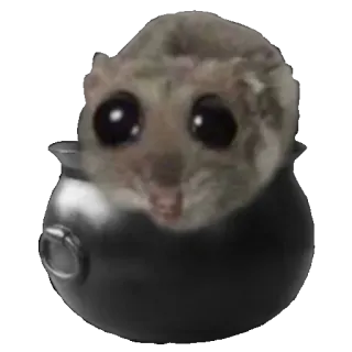 🥘 c9a4659a topo, animale, carino, kawaii, roditore, teiera telegram sticker