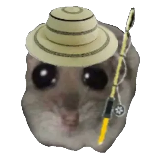 🎣 d8861d57 criceto, cappello, pesca, animale, canna da pesca, carino, divertente telegram sticker