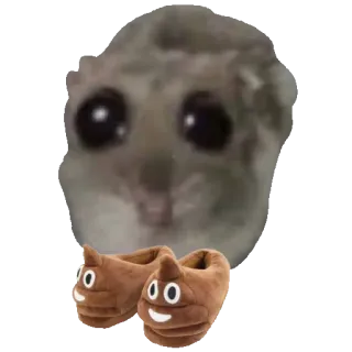 💩 d9bb8529 criceto, animale, pantofole, emoji, divertente, carino telegram sticker