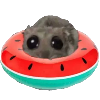 🩱 eab06858 criceto, salvagente, anguria, carino, animale telegram sticker