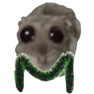 🎄 f1ee82b7 criceto, meme, animale, roditore, carino, ghirlanda telegram sticker