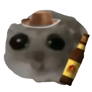 🍺 f5d4305f gatto, cappello da cowboy, birra, alcol, divertente, adesivo, meme telegram sticker