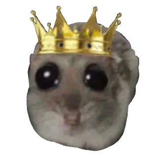 👑 fd8e9444 criceto, corona, animale, roditore, re, animale domestico telegram sticker