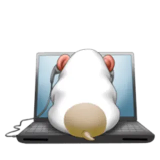💻 1a1147f7 mouse, laptop, headphones, computer, animal, cartoon telegram sticker