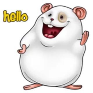 🙂 5fa61967 hello hamster, animal, cute, greeting, white telegram sticker