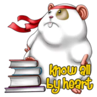 📚 67ea9b76 Know all by heart hamster, books, red headband, knowledge, cartoon telegram sticker