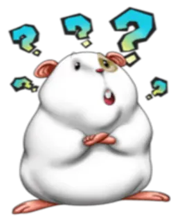 ❓ ffdd0994 hamster, question marks, confused, animal, cute, thinking telegram sticker
