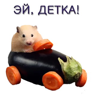Хомячья жизнь whatsapp stickers