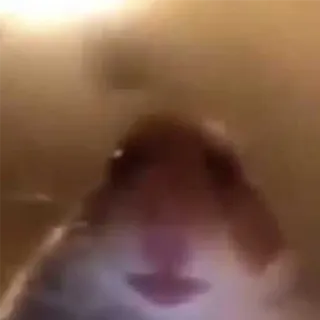 😑 0a95ab77 telegram sticker