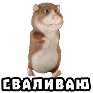 Хомяки @stickernayaa telegram stickers