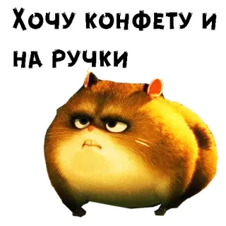 🙁 021fceb9 Хочу конфету и на ручки hamster, schattig, huisdier, dier, grappig telegram sticker