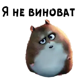 🥺 13e1a138 Я НЕ ВИНОВАТ hamster, schattig, sticker, dier, schuldig, onschuldig telegram sticker