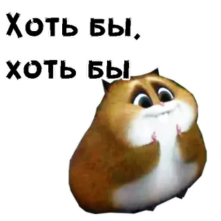 🙏 503789a8 Хоть бы hamster, schattig, dier, huisdier, hopelijk telegram sticker