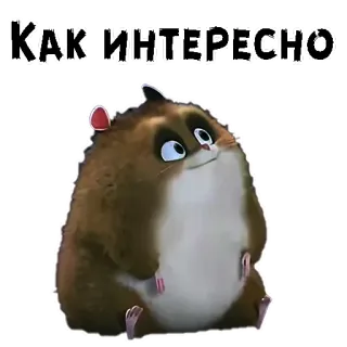 ☺️ 6f9ecab5 КАК ИНТЕРЕСНО hamster, schattig, grappig, meme, interessant, russisch telegram sticker